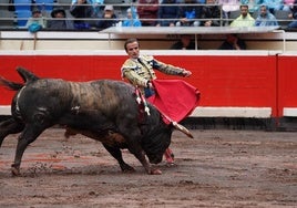 La corrida de Dolores