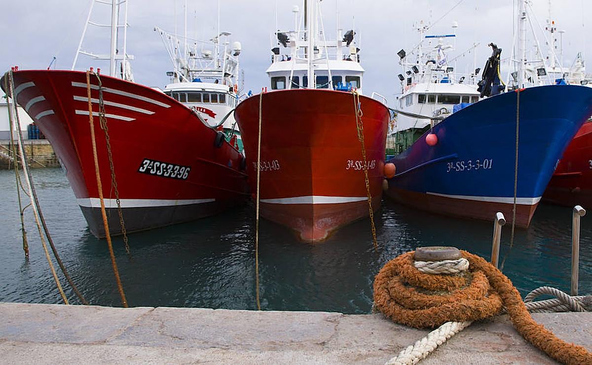 La industria pesquera, ante los cambios climáticos