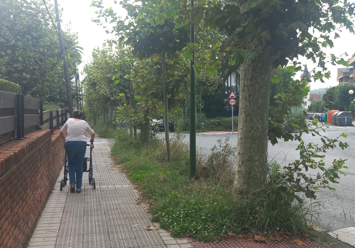 Una getxotarra pasea por la calle Leioako Etorbidea en la que la que la hierba no ha sido cortada desde primavera.