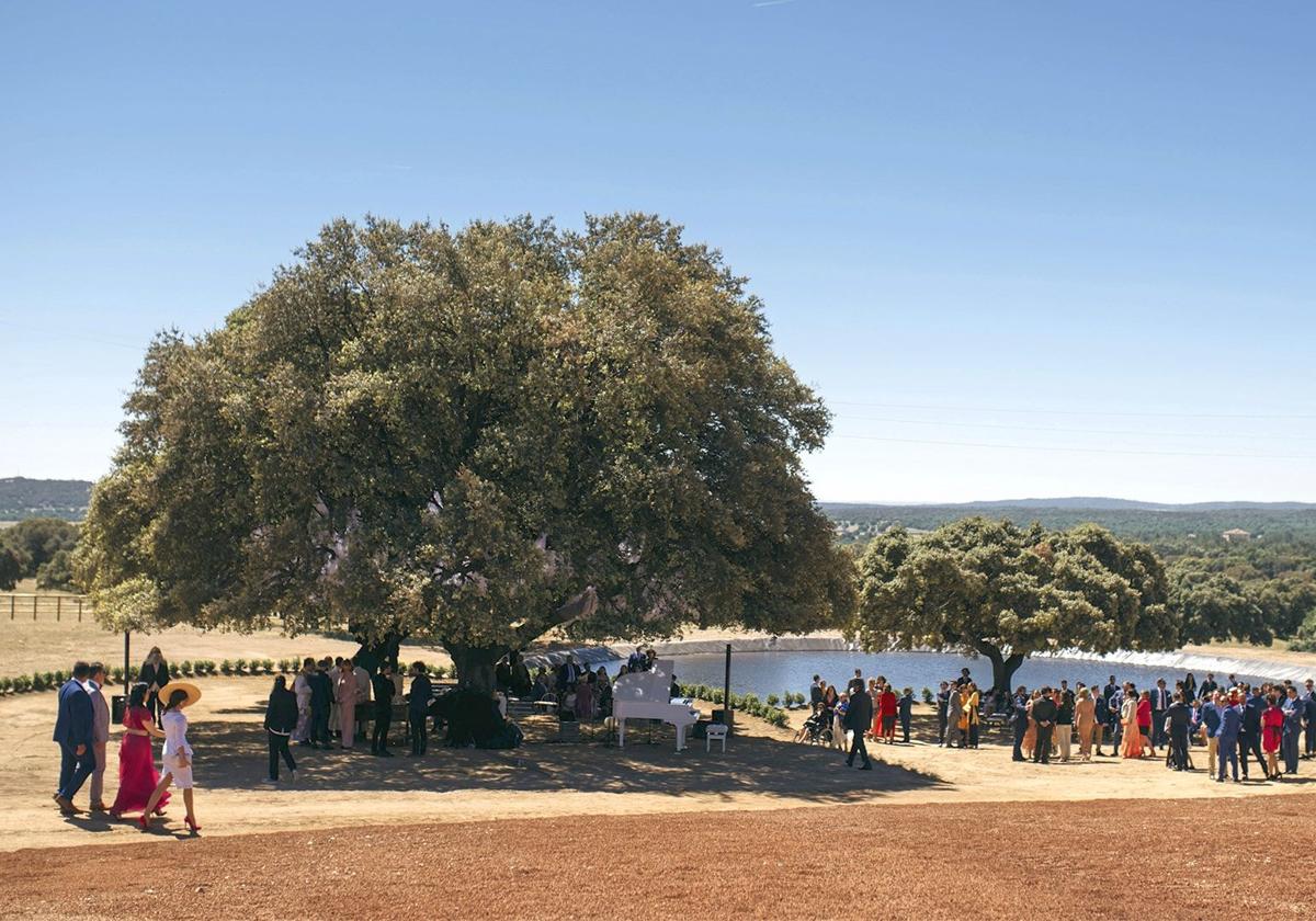 Una finca y una boda