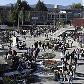 Estas son las doce carreras con las notas de corte más altas en la UPV/EHU