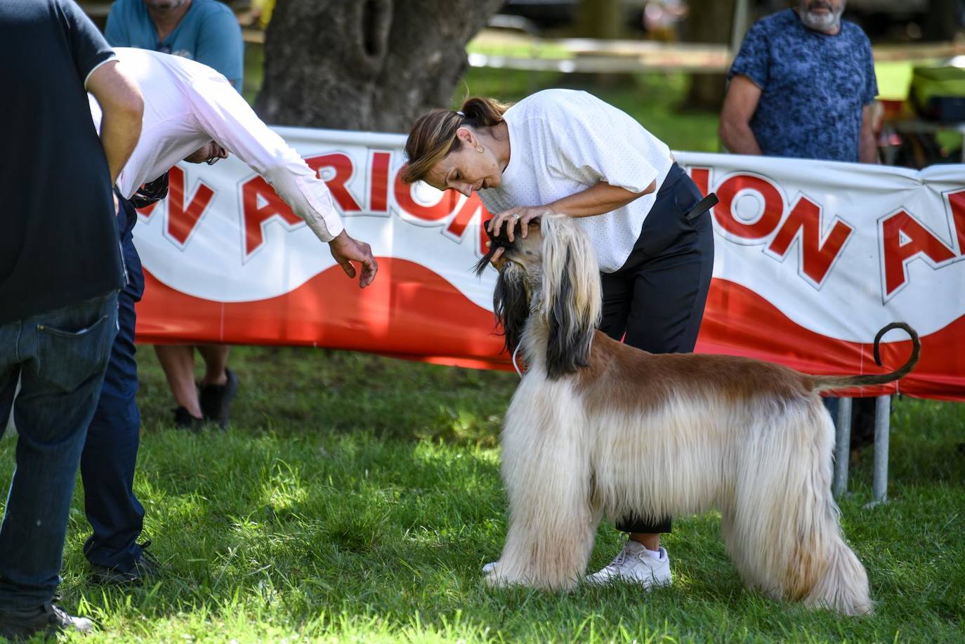 Exposición Internacional y de la Exposición Nacional Canina de Bilbao