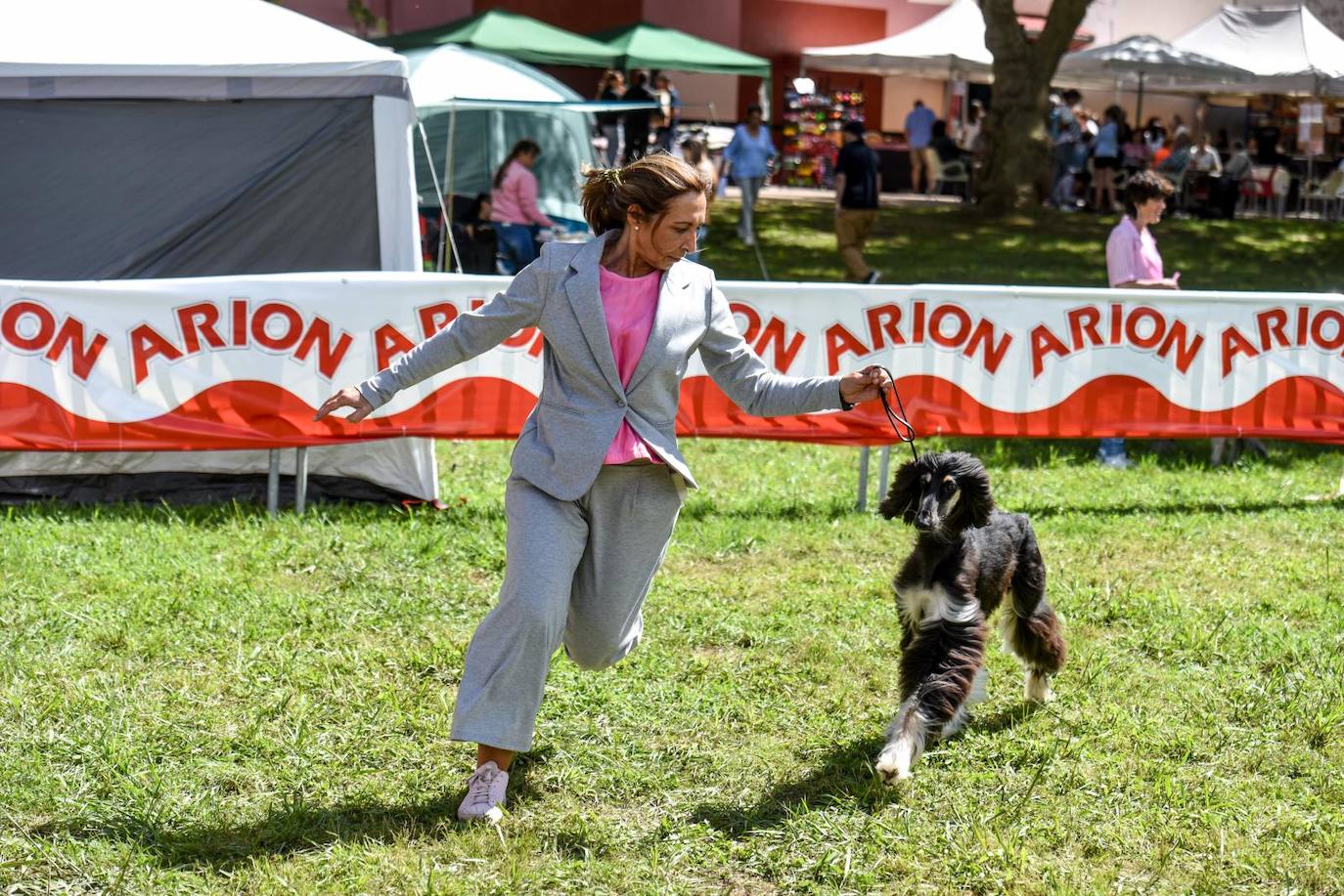 Exposición Internacional y de la Exposición Nacional Canina de Bilbao