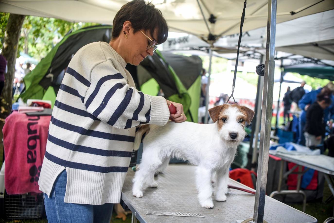 Exposición Internacional y de la Exposición Nacional Canina de Bilbao