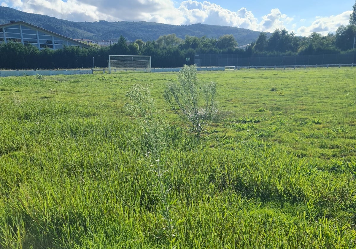 Aspecto que ofrece el campo de Gazituaga.