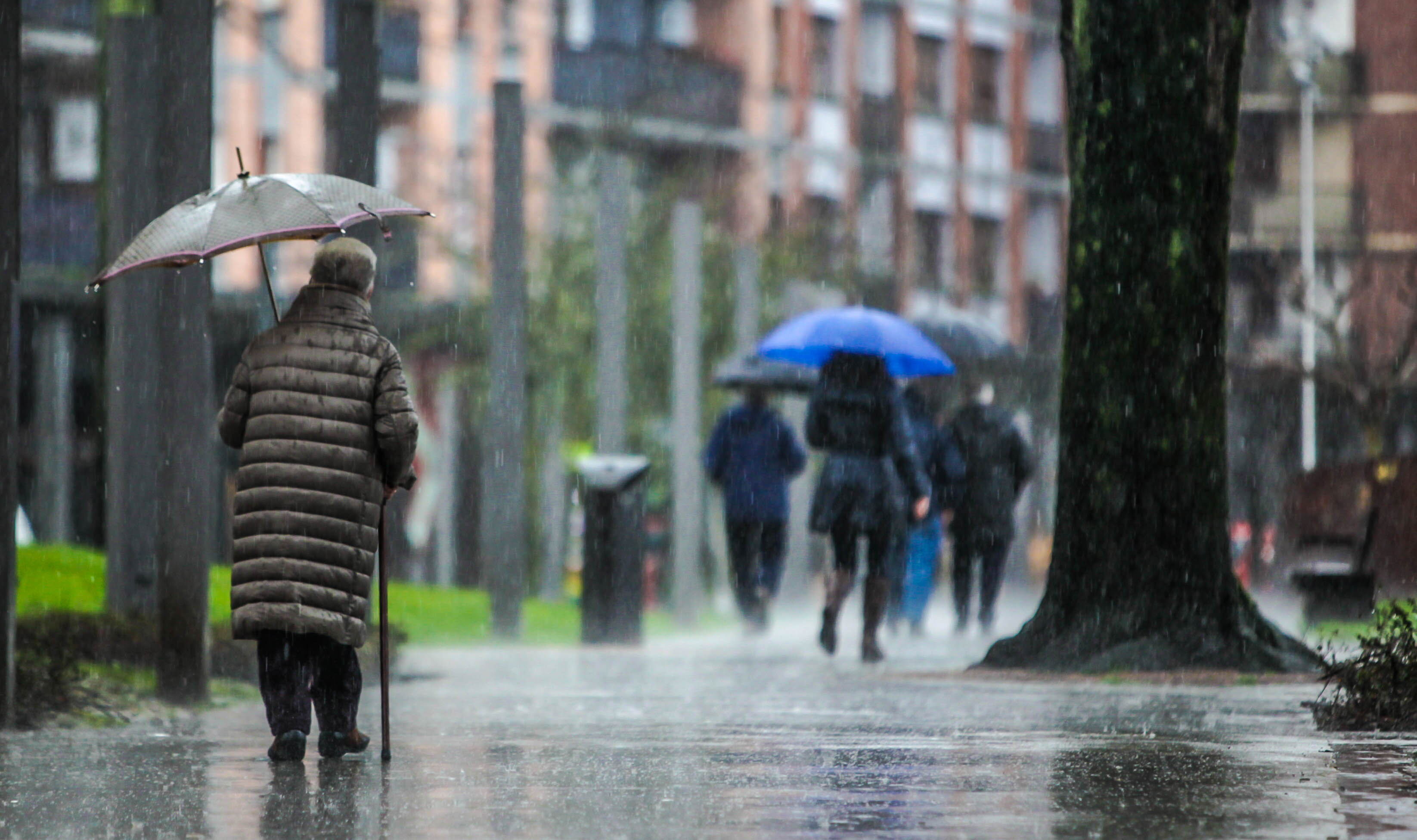 La sociedad vizcaína envejece a un ritmo superior al de los países europeos
