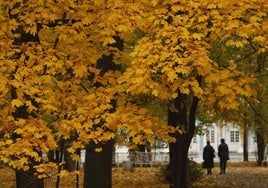 La llegada del otoño ya tiene fecha y hora exacta.