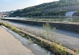 Así hemos contado una nueva jornada de mareas vivas sin complicaciones