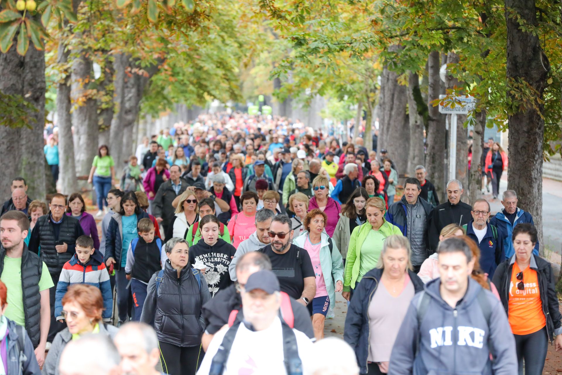 Las mejores imágenes de la XI Marcha Solidaria Green