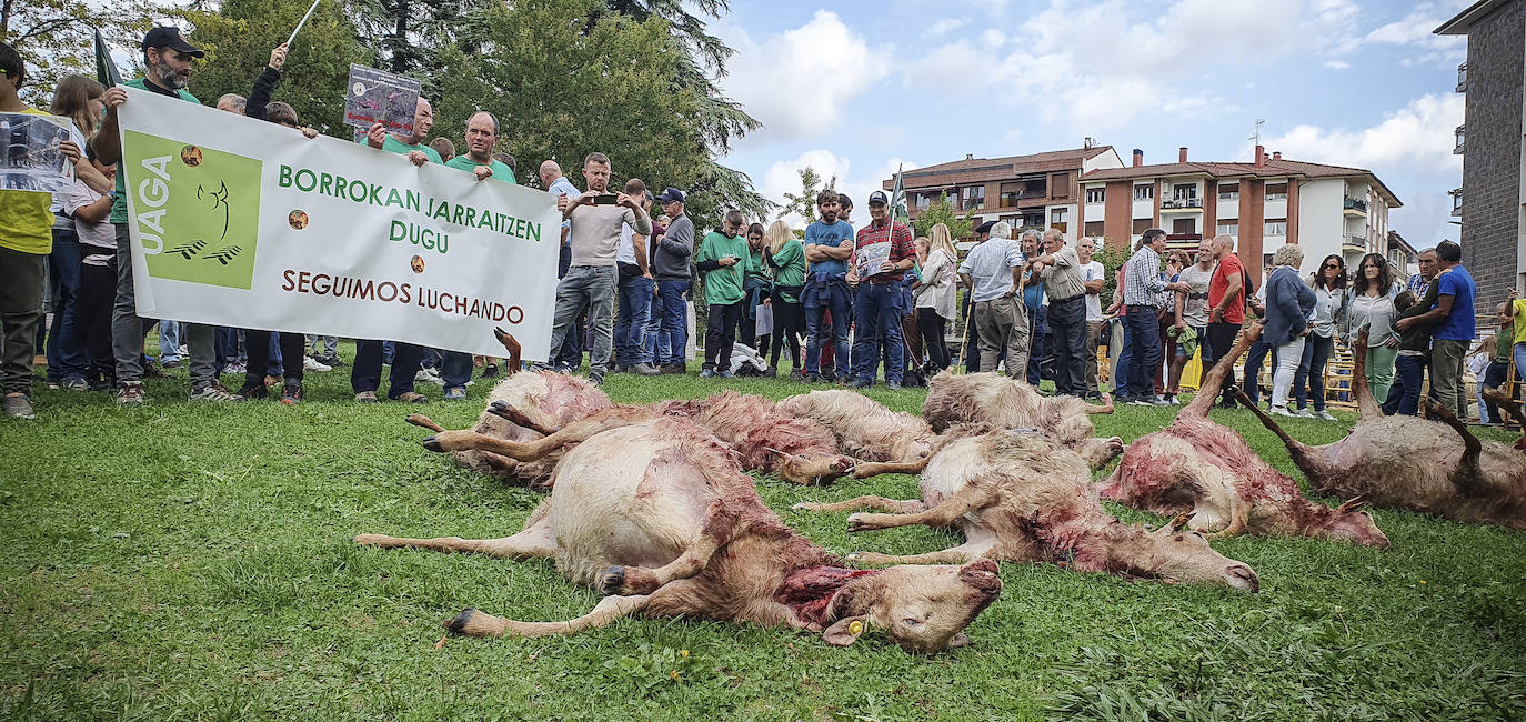 El Artzai Eguna, en imágenes