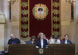 Elixabete Etxanobe, durante el pleno celebrado este miércoles en Gernika