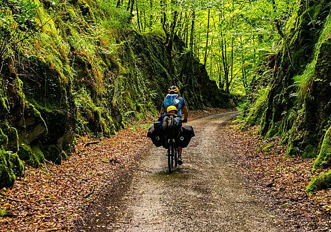 Un ciclista pedalea por el antiguo trazado del tren de Plazaola convertido en vía verde.