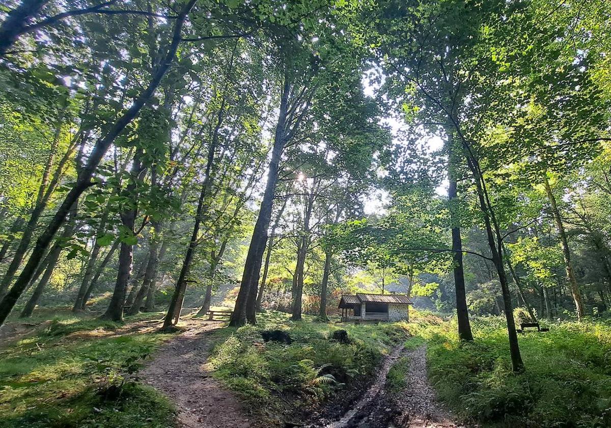 El bosque rodea al refugio de Lasturre con su riachuelo.