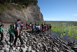 Las visitas a la rasa mareal de Ogella, en Ispater, son muy participativas.