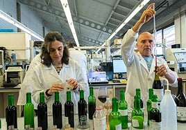 Laguardia impartirá el próximo curso el grado medio de vinicultura