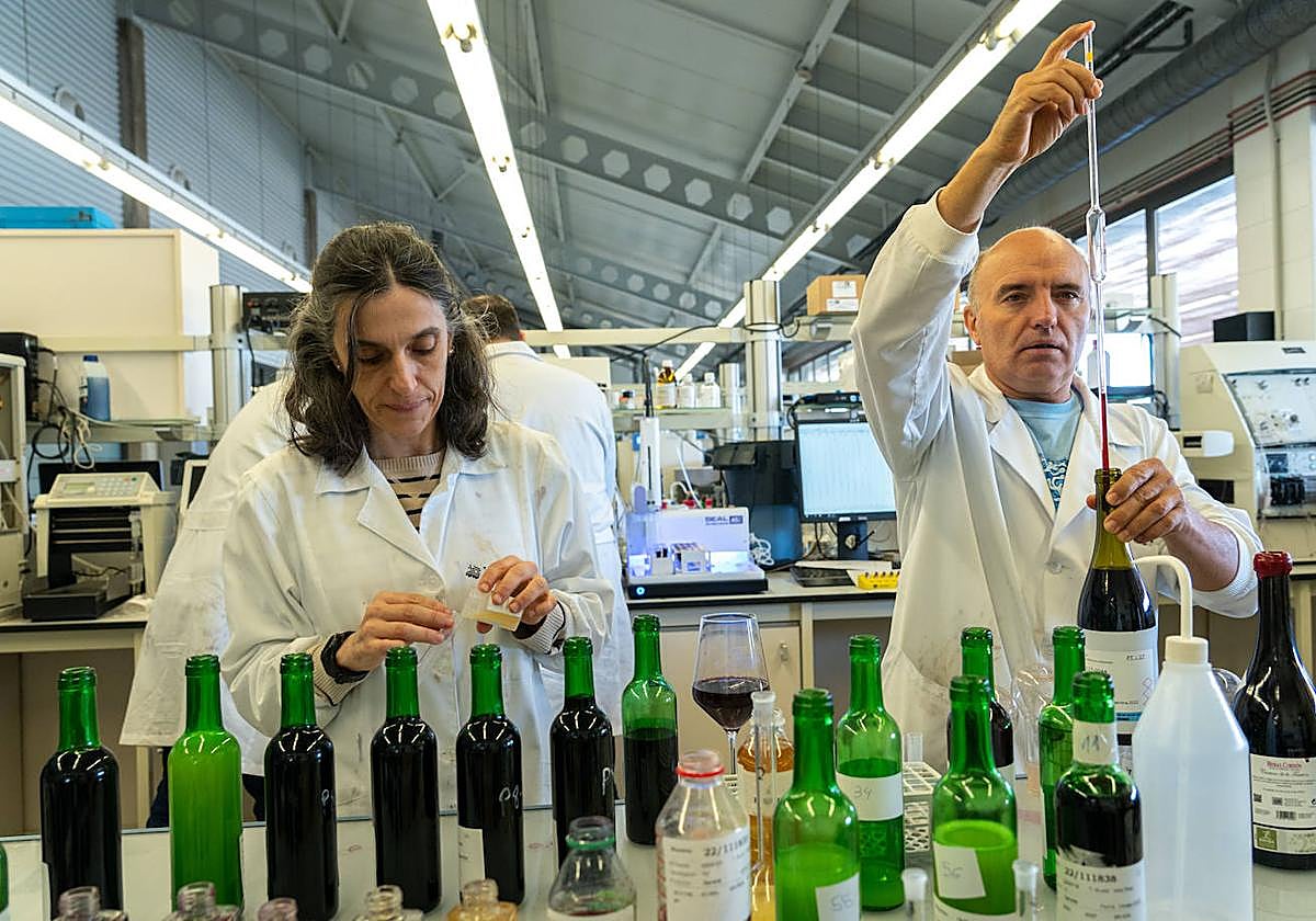 Laguardia impartirá el próximo curso el grado medio de vinicultura