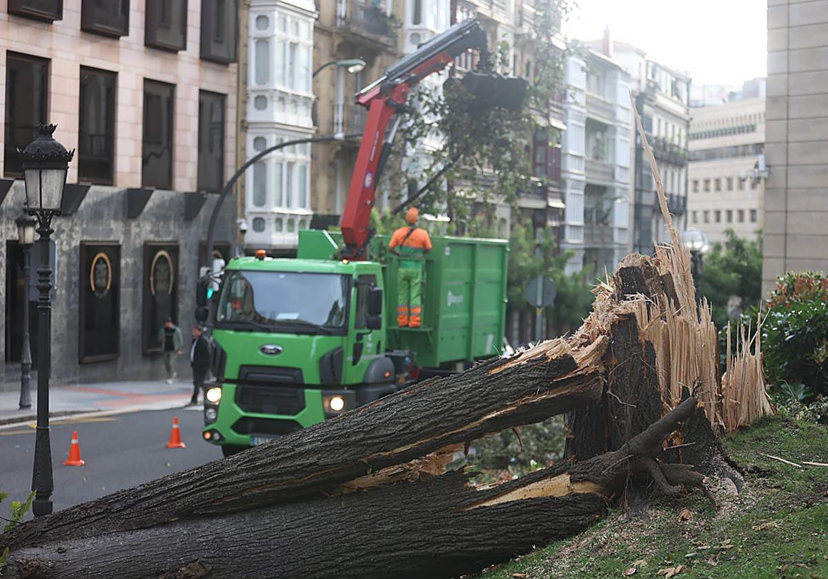 En directo, las consecuencias del paso de 'Kirk' por Bizkaia: finalizan las alertas naranjas y los avisos amarillos por viento