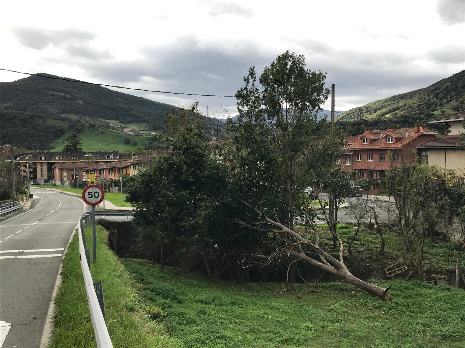 Artzinega, una de las zonas más afectadas por el viento.