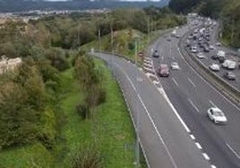 El Txorierri recobra la normalidad tras la caída de un árbol en la carretera