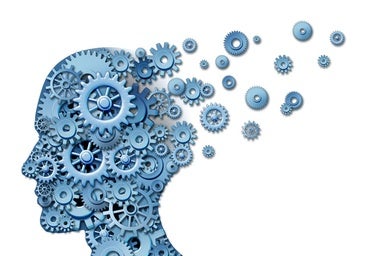 Estos son los alimentos que potencian la memoria según expertos de la Universidad de Oxford