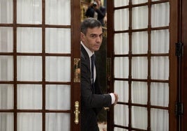 Rebaja de penas y responsabilidades políticas