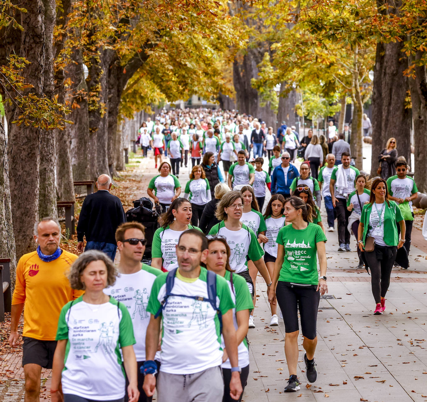 La marcha contra el cáncer, en imágenes