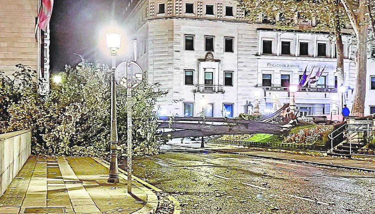 El tilo tirado por el viento la semana pasada en Jardines de Albia durante los momentos en los que la borrasca 'Kirk' azotó Bilbao con más virulencia.