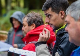 El coto de Zuia aspira a mostrar la riqueza micológica de la zona.