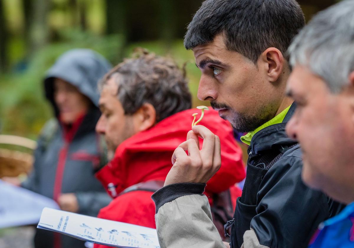 El coto de Zuia aspira a mostrar la riqueza micológica de la zona.