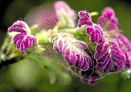 Entre el cielo y la tierra