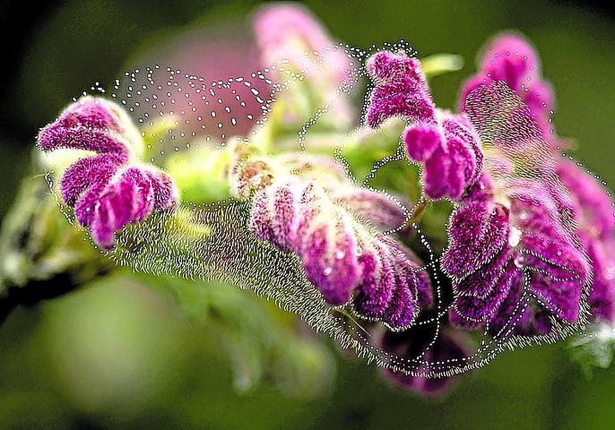 Entre el cielo y la tierra