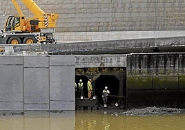 Operarios durante la instalación de los nuevos paneles.