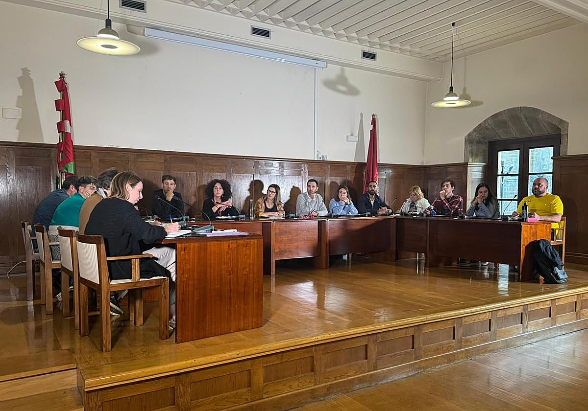 El pleno aprobó esta propuesta con los votos a favor de EH Bildu y Podemos y la abstención de PNV.