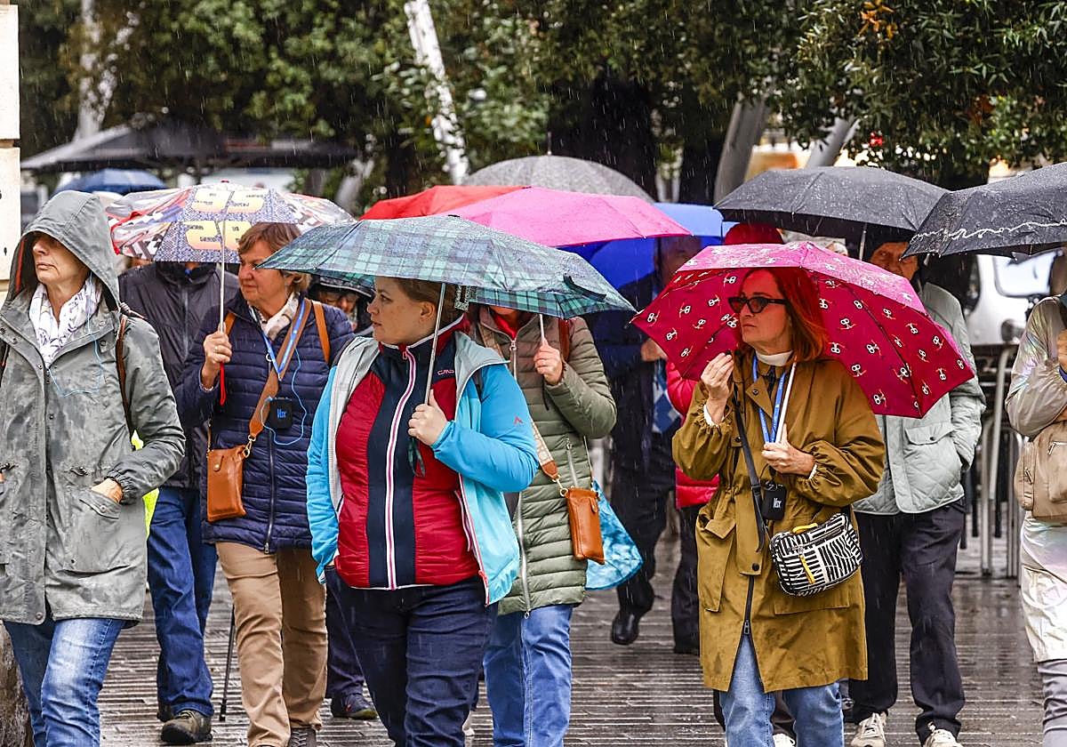 Los paraguas, imprescindibles esta viernes.