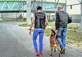 Ertzainas de la unidad canina acceden al interior de la prisión de Zaballa.