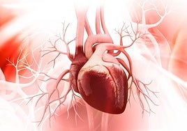 Cuando el cáncer llega al corazón, el desafío de las nuevas unidades cardiooncológicas