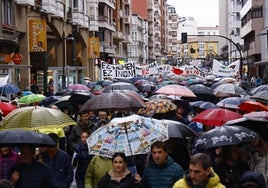 La manifestación de este sábado a su paso por la calle La Paz.