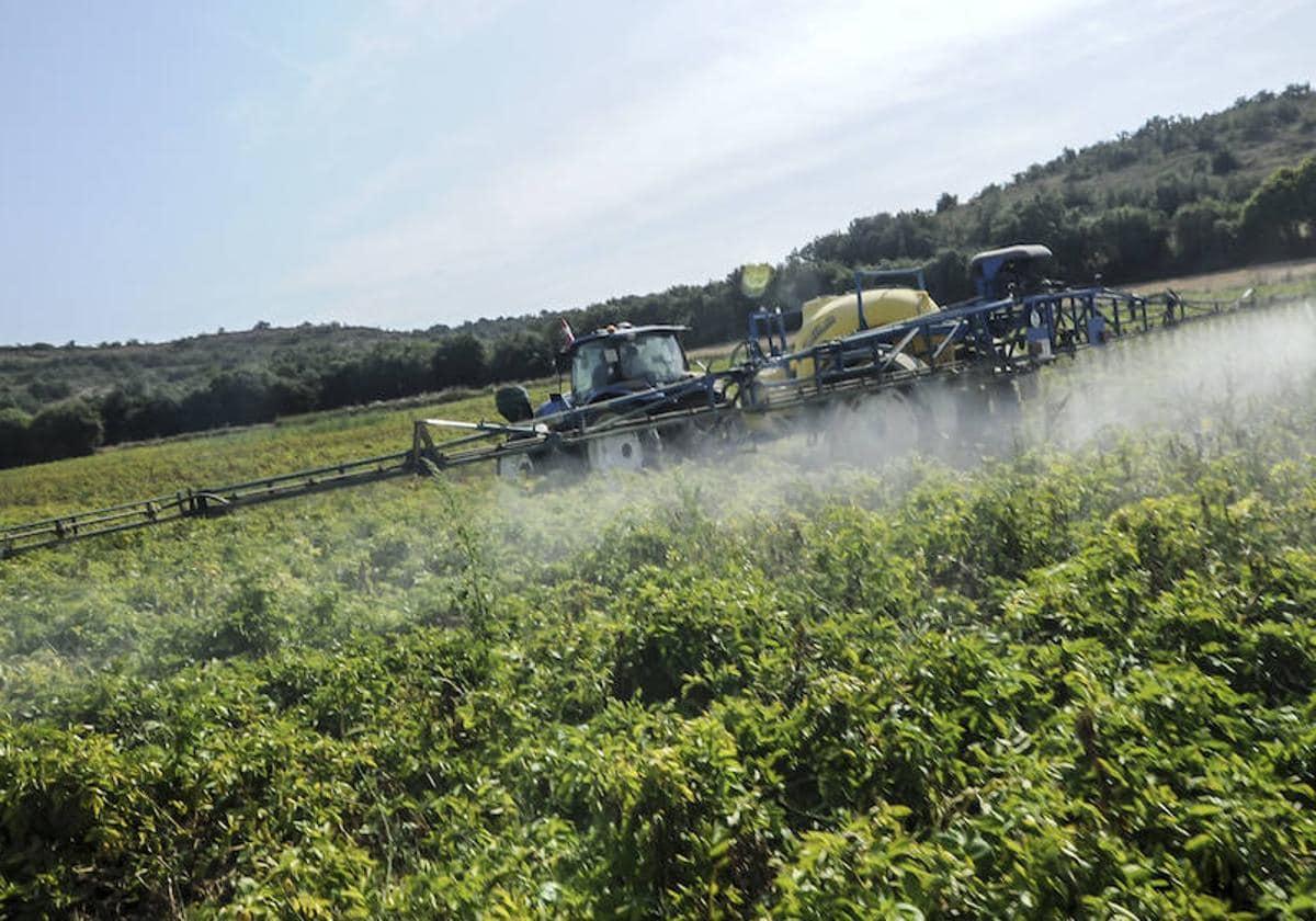 Profesionales de la agricultura en los campos de Álava.