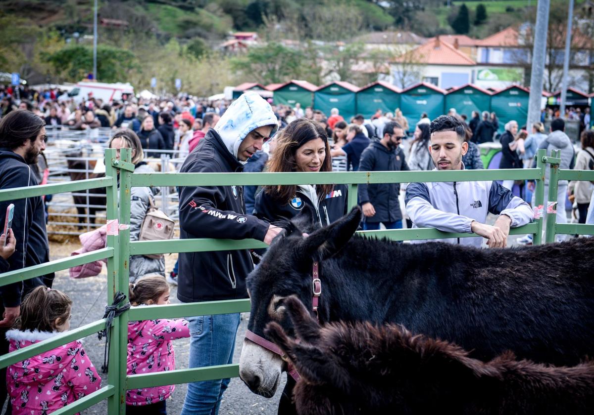 El recinto festivo albergará medio centenar de puestos y exhibirá diversas especies.