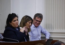 Jone Berriozabal, Saray Zárate y Gorka Urtaran, este miércoles en el pleno de las Juntas Generales de Álava.