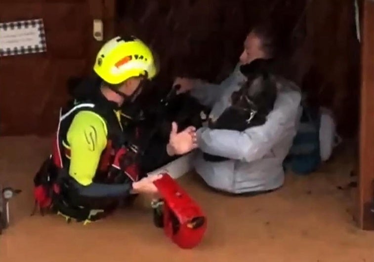 Vídeo del emocionante rescate de una mujer y sus mascotas