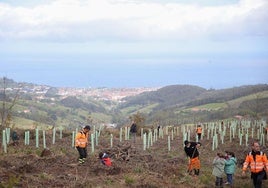 Plantación de un bosque autóctono en una de las parcelas adquiridas por la Diputación en Busturia