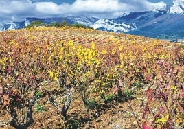 La asociación aspira a aunar los intereses de las bodegas entre la Sierra de Cantabria y el río Ebro.