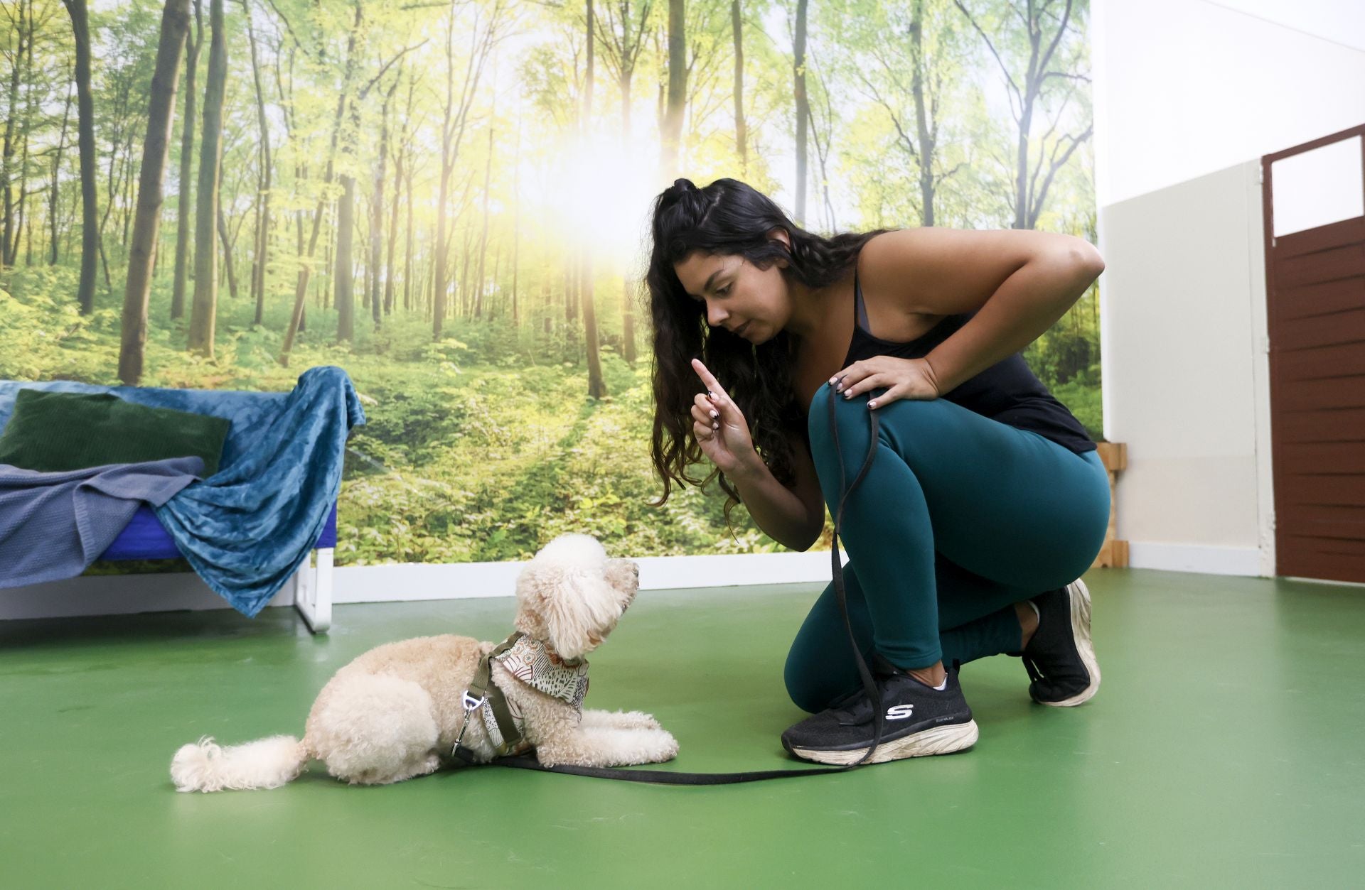 Una inglesa y una hawaiana abren la única guardería canina del centro de Bilbao: «Se lo pasan bomba»