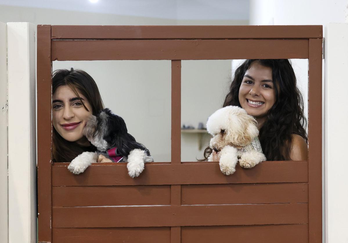 Izzy y Ari han abierto una guardería canina en el centro de Bilbao.