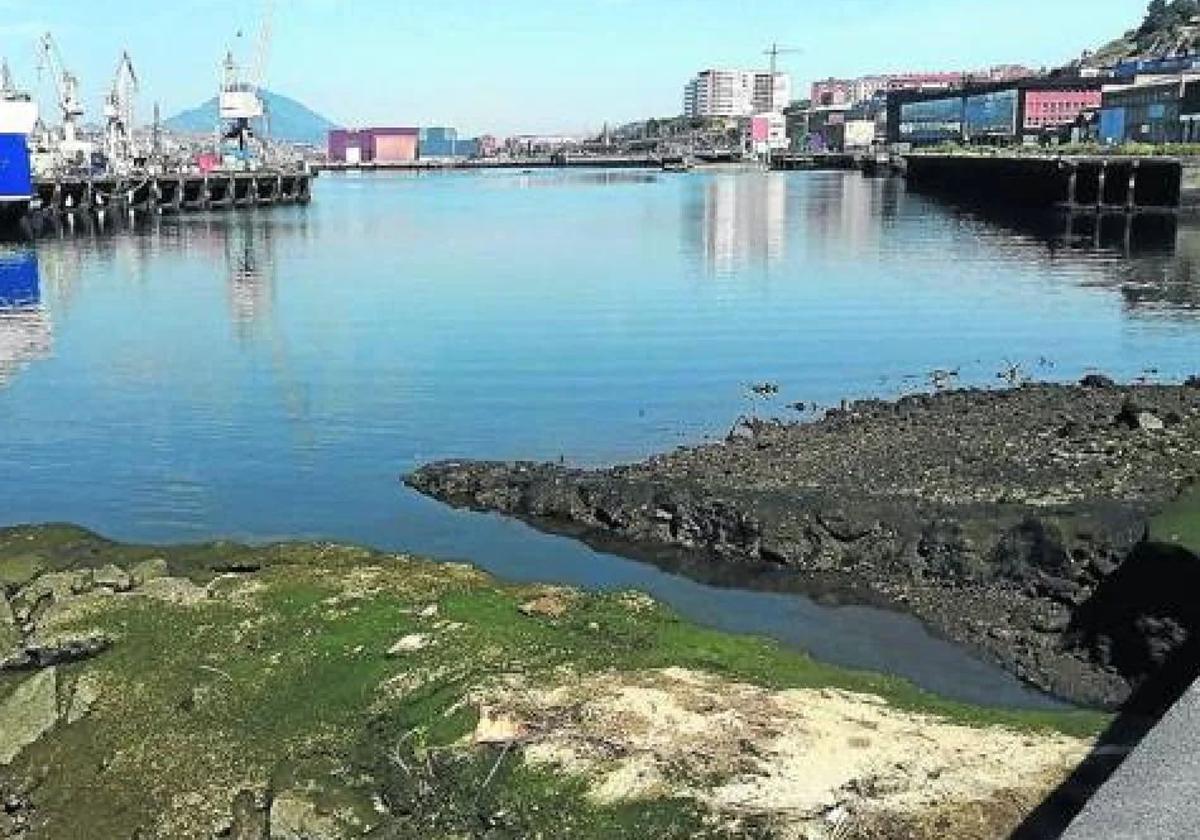 Zona cercana al colector perimetral del Consorcio de Aguas en Erandio.