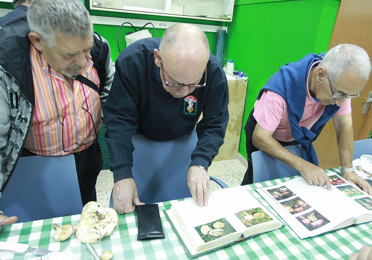 La sociedad ofrece un servicio de identificación los lunes en el municipio.