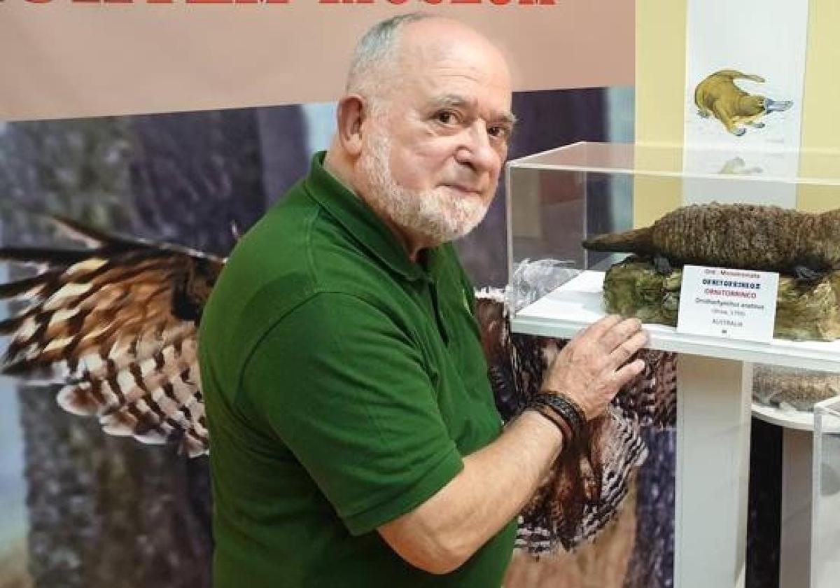 El director del Museo, Enrique Huerta, posa junto a un ornitorrinco.