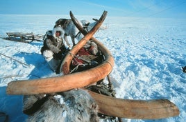 Descifrando los cambios climáticos del pasado