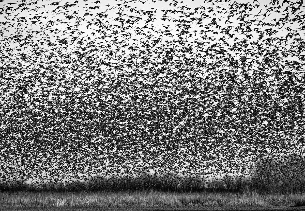 Imagen principal - En el apartado de naturaleza, Jesús de Pedro se presentó con estas imágenes espectaculares. En la esquina inferior derecha, Álex posa con el premio recibido.